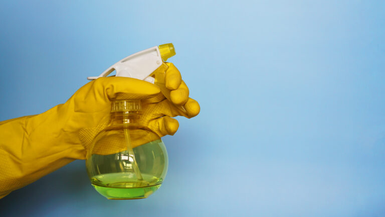 Rubbery Insect 10 DIY Homemade Natural, Non-Toxic Insect & Bug Repellents! - Recipes4home