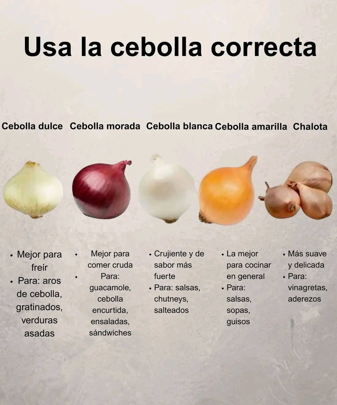 Usa la cebolla correcta